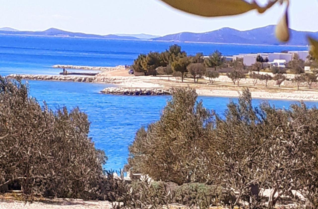Eden Lady Mobile Home, Croatia, Drage Εξωτερικό φωτογραφία
