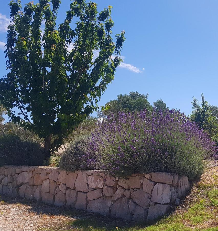 Eden Lady Mobile Home, Croatia, Drage Εξωτερικό φωτογραφία