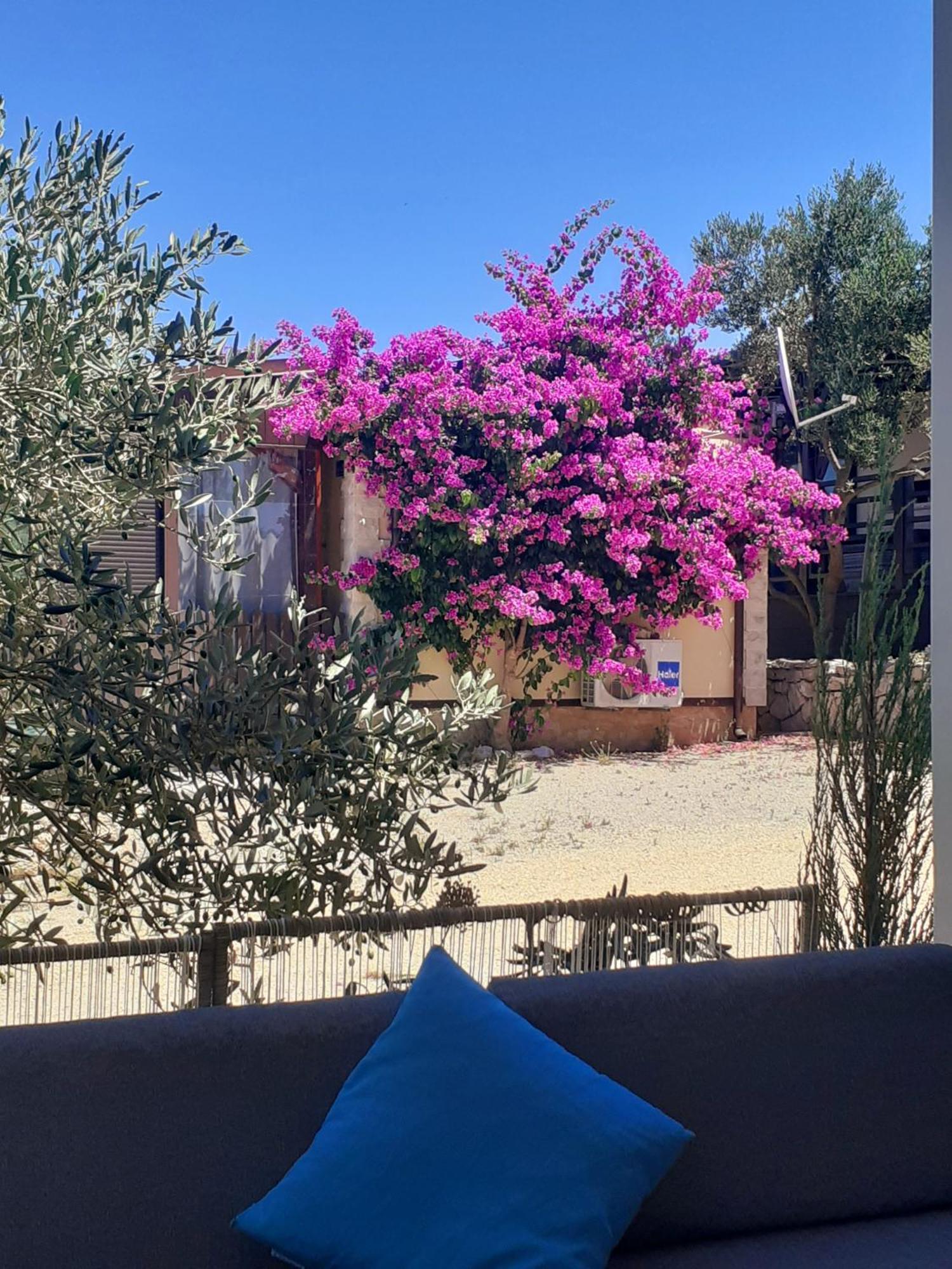 Eden Lady Mobile Home, Croatia, Drage Εξωτερικό φωτογραφία